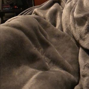 Meet your Posher, Leonardo